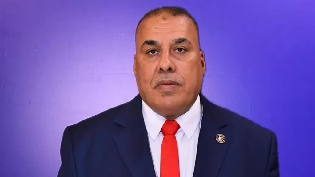 النائب محمد عبدالعال أبو النصر عضو مجلس الشيوخ