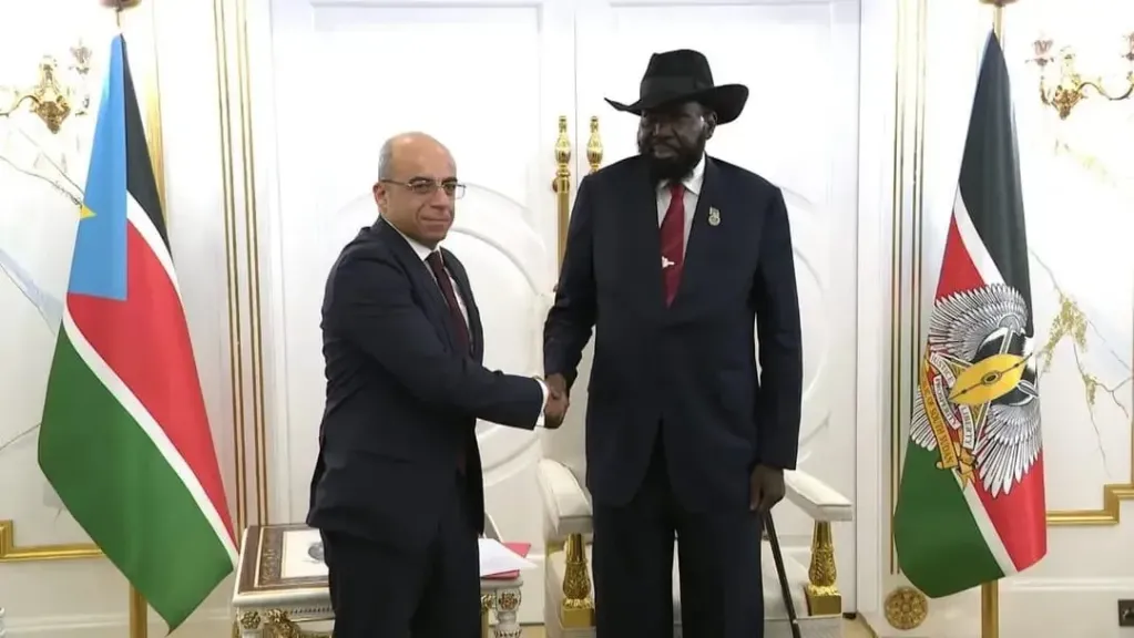 السفير حازم ممدوح فوزي