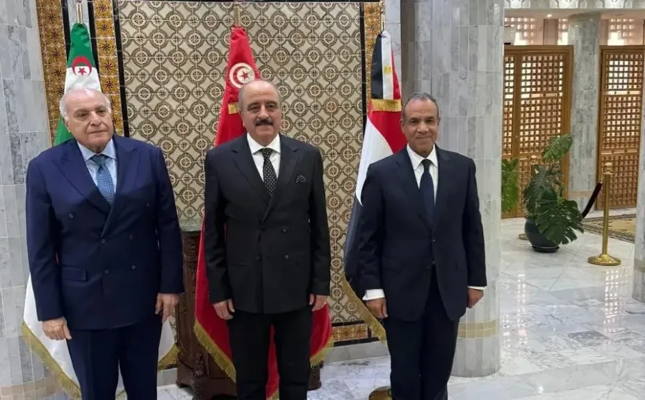 وزراء خارجية مصر وتونس والجزائر