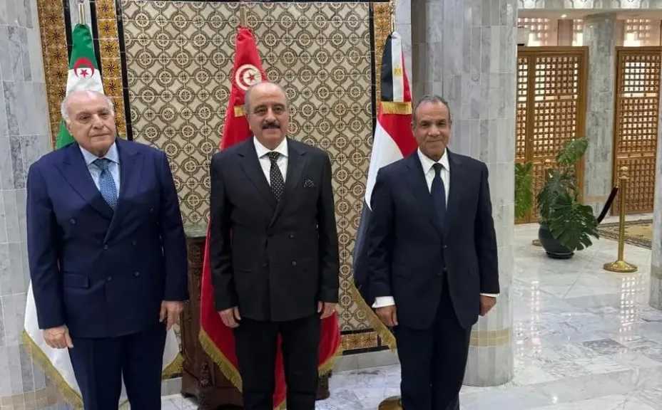 وزراء خارجية مصر وتونس والجزائر: المصلحة العليا لليبيا والليبيين هي البوصلة الرئيسية