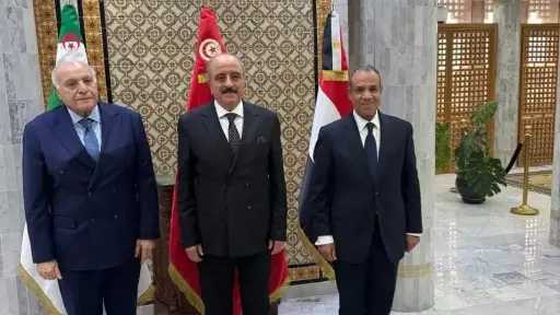 وزراء خارجية مصر وتونس والجزائر: المصلحة العليا لليبيا والليبيين هي البوصلة الرئيسية
