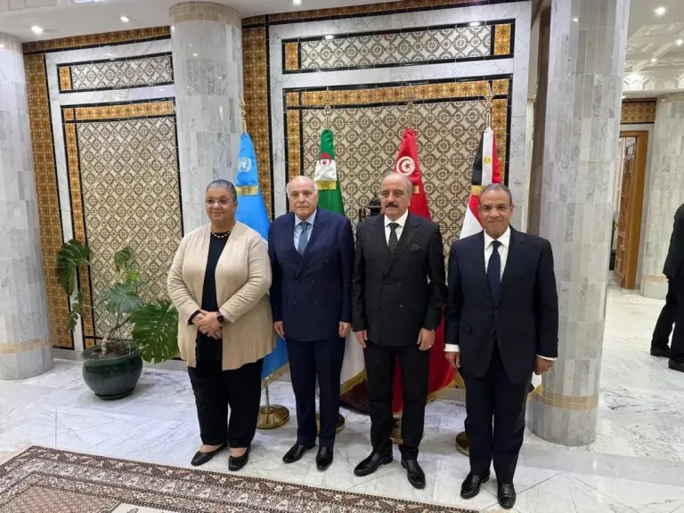 بدر عبد العاطي وزير الخارجية خلال جلسة مشاورات