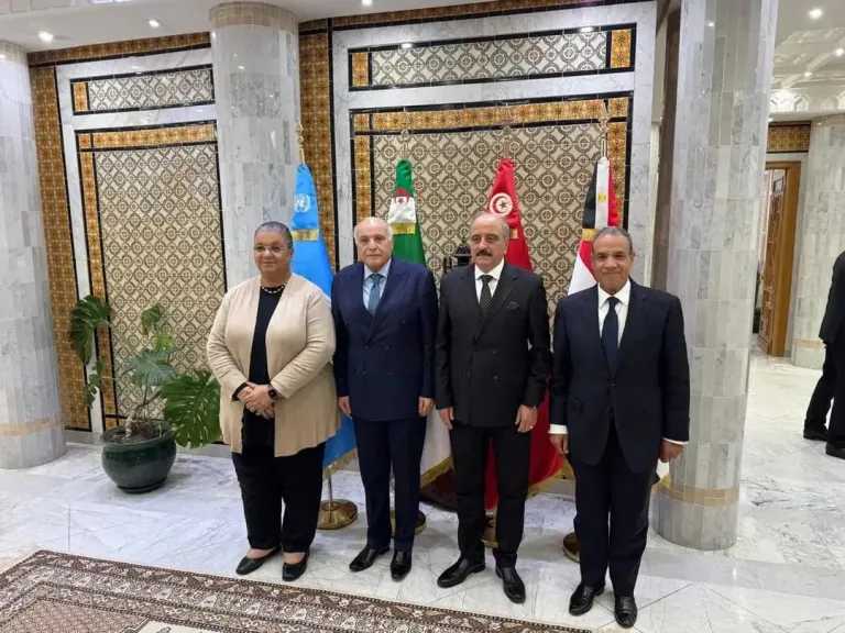 وزير الخارجية: مصر لن تدخر جهدًا في دعم الأشقاء بليبيا.. ويجب خروج جميع المرتزقة من أراضيها