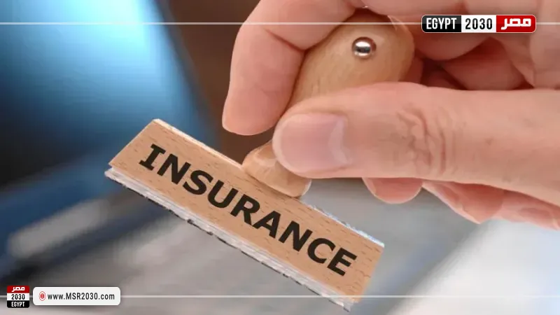 استثمارات شركات وصناديق التأمين