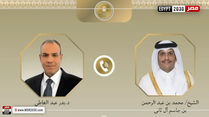 وزيرا خارجية مصر وقطر