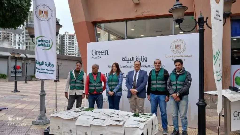 البيئة تعلن إطلاق 3 سلاحف خضراء إلى بيئتها الطبيعية بعد إنقاذها بالدقهلية والسويس