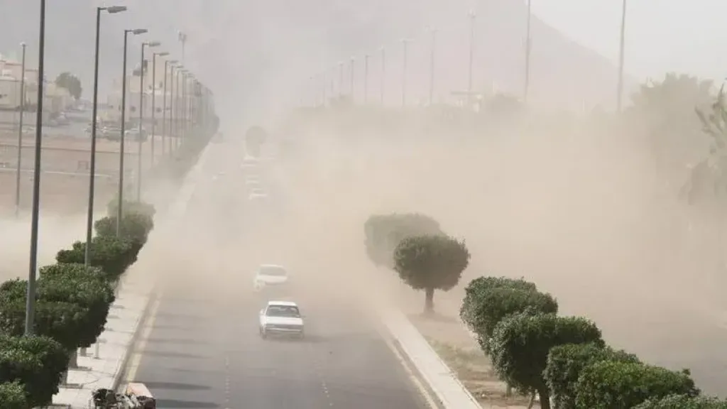 أرشيفية 