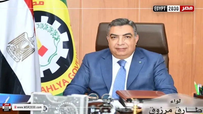 محافظ الدقهلية