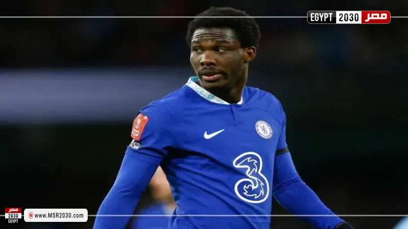 ديفيد فوفانا