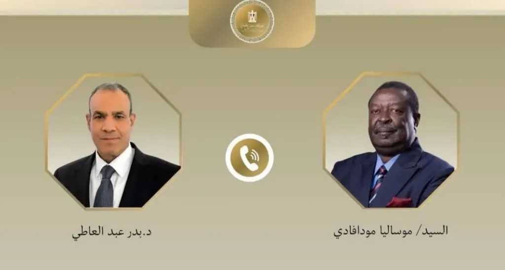 وزير الخارجية يبحث مع نظيره الكيني سبل تعزيز العلاقات الثنائية بين البلدين في مختلف المجالات