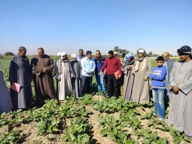 الإرشاد الزراعي