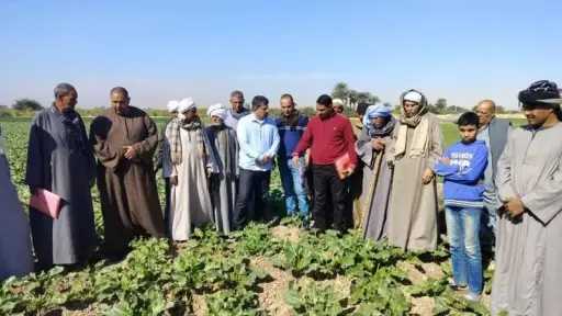 بالأرقام.. الإرشاد الزراعي يدعم 715 ألف مزارع وسيدة ريفية خلال 2025