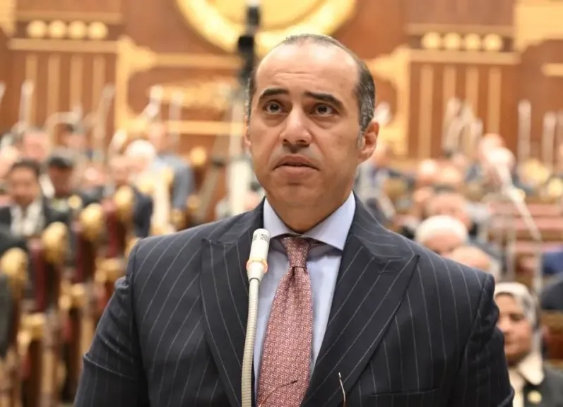المستشار محمود فوزي، وزير الشئون النيابية والقانونية والتواصل السياسي