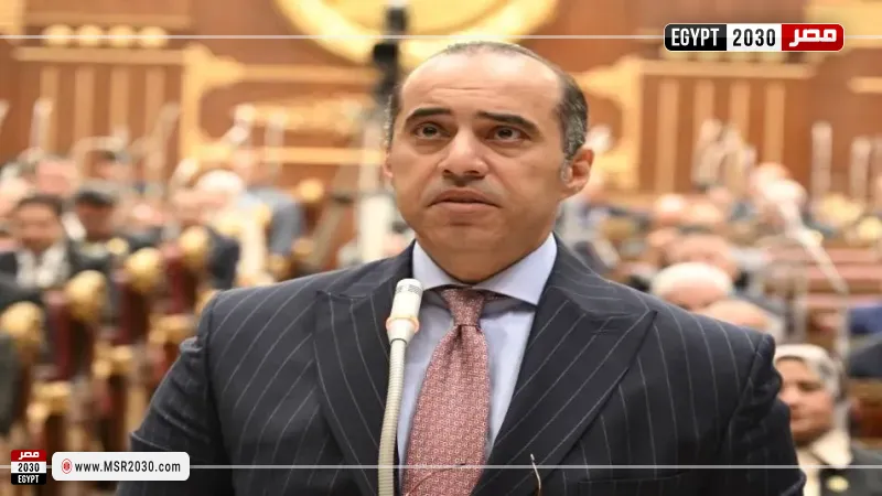 المستشار محمود فوزي، وزير الشئون النيابية والقانونية والتواصل السياسي