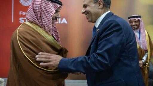 وزير الخارجية ونظيره السعودي يؤكدان عمق العلاقات الأخوية بين القاهرة والرياض