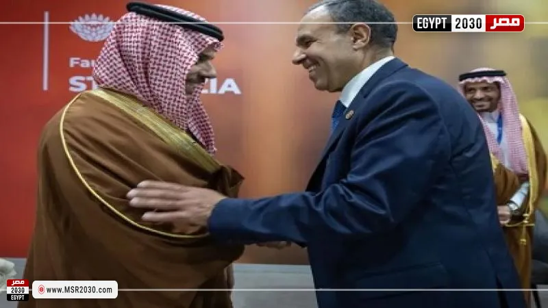 وزير الخارجية ونظيره السعودي