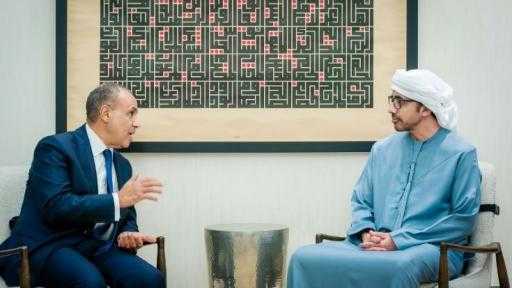 أبرزها غزة والسودان.. تفاصيل الملفات التي ناقشها وزير الخارجية ونظيره الإماراتي