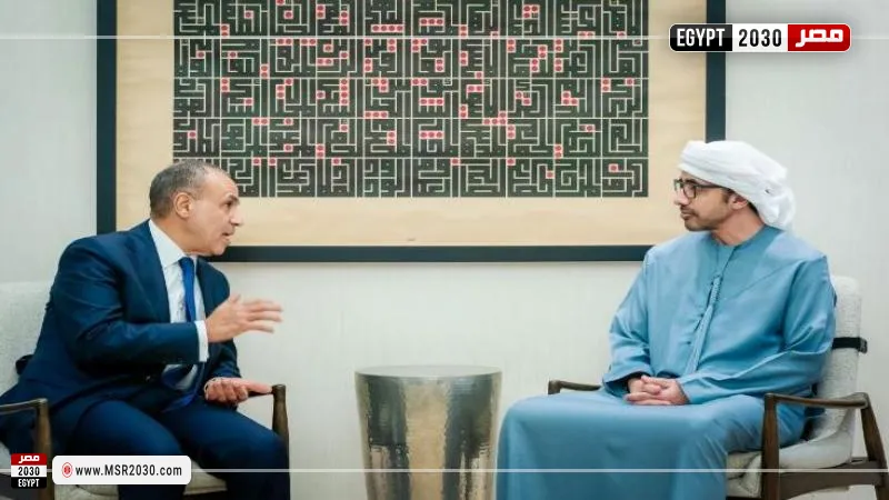 وزير الخارجية ونظيره الإماراتي
