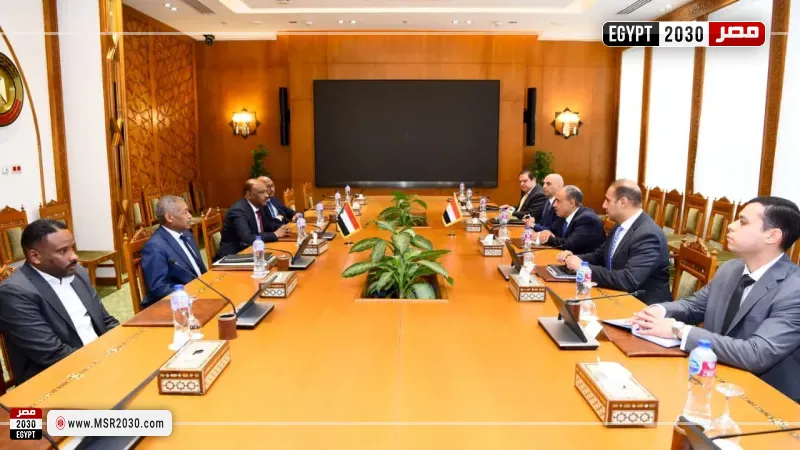 جانب من لقاء الوزيرين