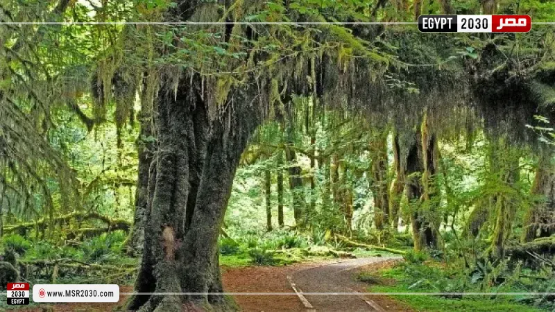 مصر 2030