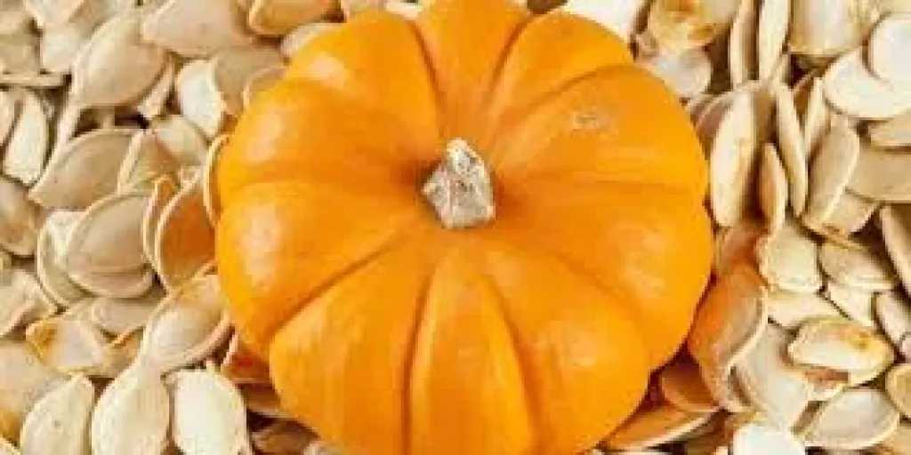 تعرف على فوائد اليقطين.. تفاصيل