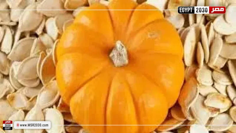 مصر 2030