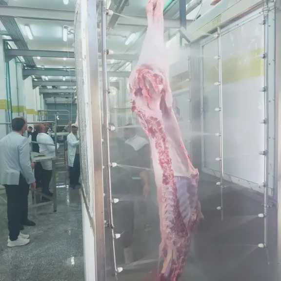 بتكلفة 36.7 مليون جنيه.. بدء التشغيل التجريبي لمجزر بلطيم بكفر الشيخ