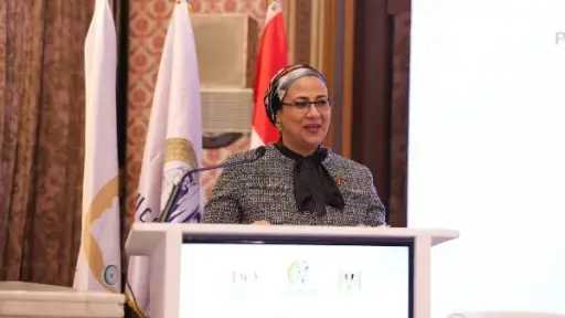 المستشارة أمل عمار تلتقى بوزيرة الأسرة التركية لبحث سبل التعاون المشترك