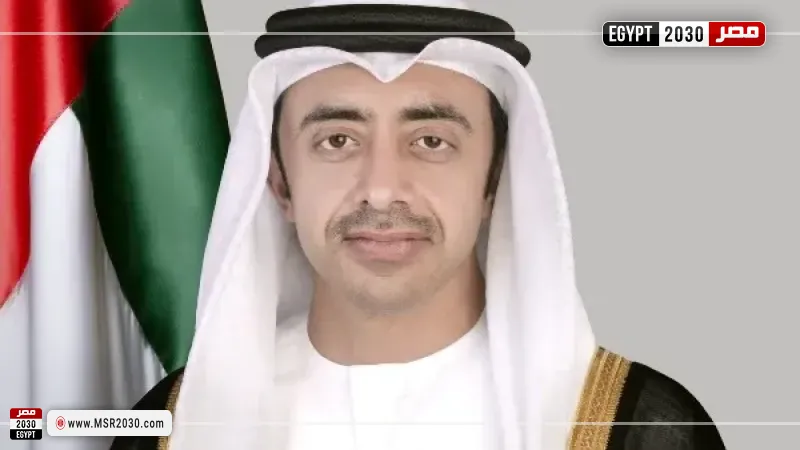 الإمارات و باراجواي تبحثان تعزيز العلاقات في مختلف المجالات