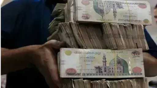 «لمواجهة التضخم».. شهادات ادخار في البنوك المصرية بعوائد مرتفعة