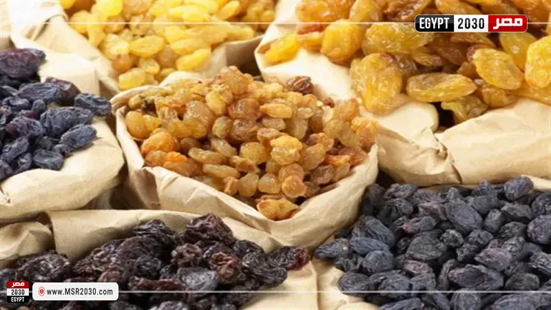 مصر 2030