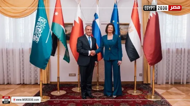  وزير الخارجية والهجرة