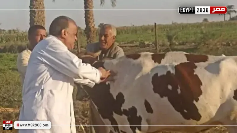 مصر 2030
