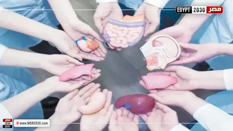  الشريعة الإسلامية إلى التبرع بالجلد والأعضاء بعد الوفاة