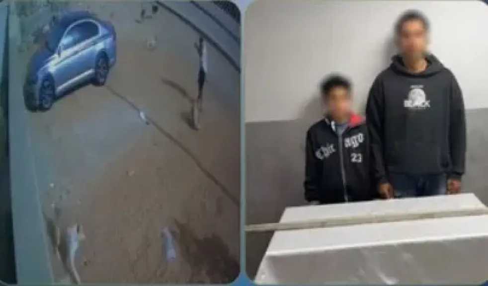 ضبط سائق وطفل للتعدي على كلب ضال حتى نفوقه في 6أكتوبر بعد تداول فيديو