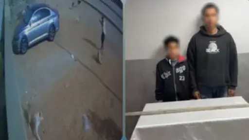 ضبط سائق وطفل للتعدي على كلب ضال حتى نفوقه في 6أكتوبر بعد تداول فيديو