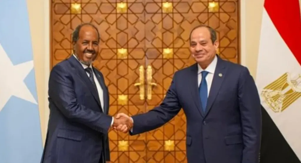الرئيس السيسي ونظيره الصومالي