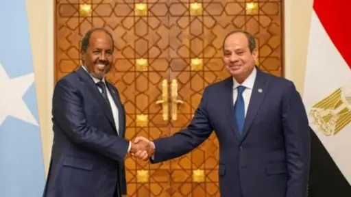 اليوم.. السيسي يستقبل نظيره الصومالي ويبحثان مستجدات القضايا الإقليمية