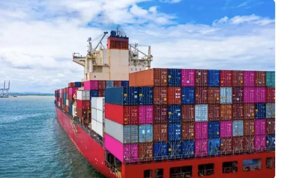 «سلامة الغذاء»: تصدير 6.7 ألف رسالة غذائية بإجمالي 265 ألف طن خلال أسبوع