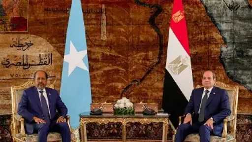 الرئيس الصومالي يحذر من تدهور الأوضاع الأمنية بالقرن الإفريقي