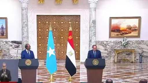 النائب محمد أبو النصر: لقاء السيسي ورئيس الصومال يؤكد الدور المحوري لمصر في دعم واستقرار القرن الإفريقي
