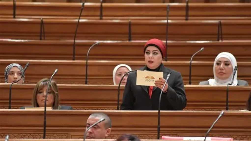 النائبة جيهان شاهين: تحذيرات الرئيس السيسي رسالة واضحة لضرورة احترام سيادة الدول ووحدة أراضيها