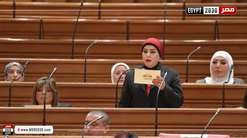 النائبة جيهان شاهين: تحذيرات الرئيس السيسي رسالة واضحة لضرورة احترام سيادة الدول ووحدة أراضيها