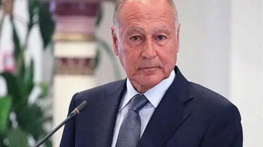 أبو الغيط يرحب بتشكيل حكومة يمنية جديدة: خطوة ضرورية لتعزيز فعالية مؤسسات الدولة