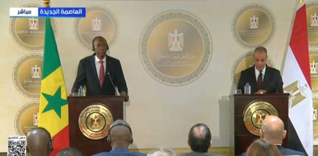 وزير الخارجية يكشف تفاصيل مباحثاته مع نظيره السنغالي