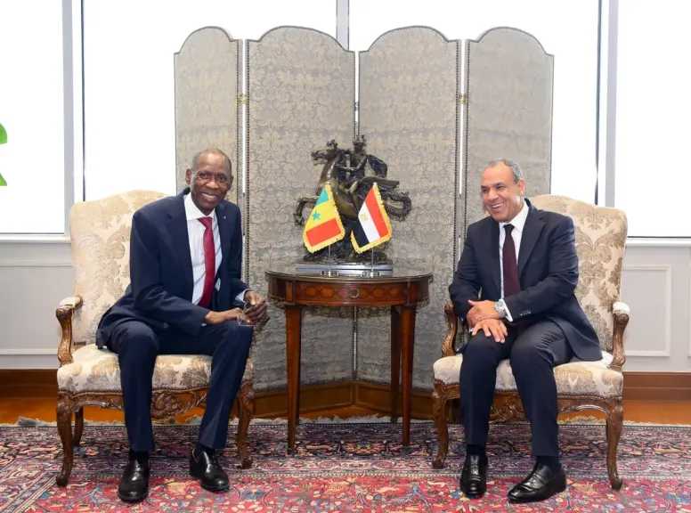 مباحثات مصرية سنغالية لتعزيز الشراكة الاستراتيجية ودعم جهود التنمية والاستقرار في القارة الأفريقية