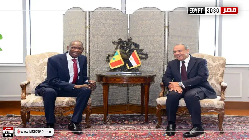 وزير الخارجية ونظيره السنغالي