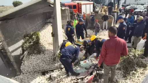 مصرع شخصين في حادث انقلاب تريلا بطريق كارفور محرم بك بالإسكندرية