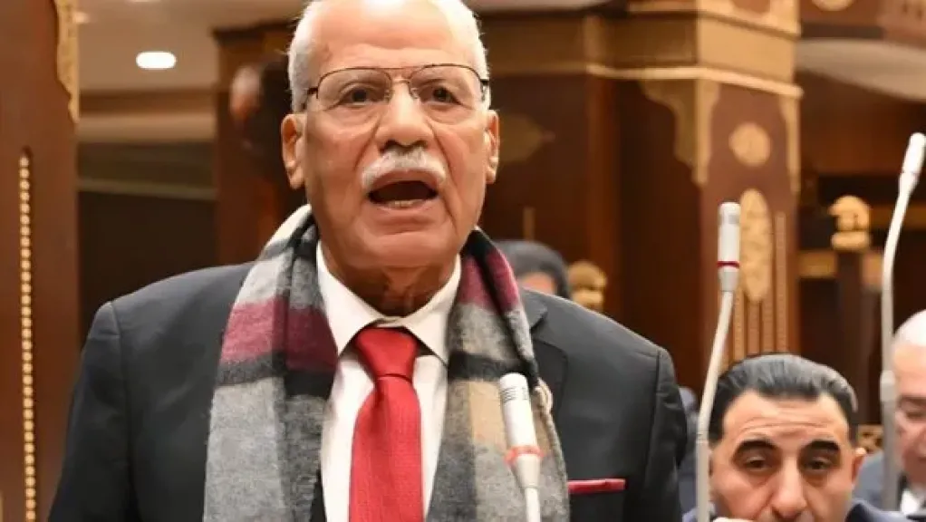 النائب محمد أبو العلا