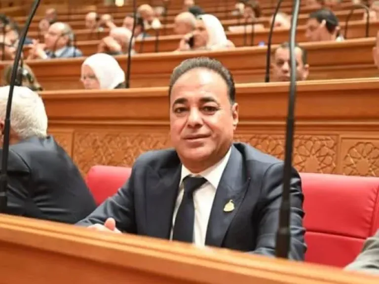 النائب سعيد العماري 